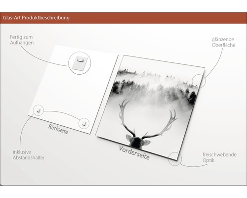 Glasbild Produktbeschreibung: Vorderseite mit Hirschmotiv, Rückseite mit Aufhängung und Abstandshalter