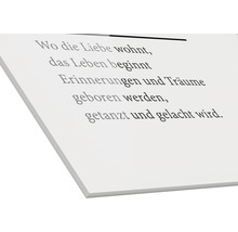 Dekoratives Schild mit dem Spruch: Wo die Liebe wohnt, das Leben beginnt.
