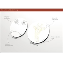 Produktbeschreibung Glasbild: Rückseite mit Aufhängung und Abstandshalter, Vorderseite mit glänzender Oberfläche und schwebender Optik