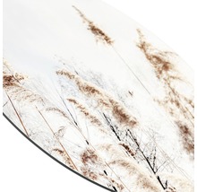 Glasbild rund Strandgras III Ø 20 cm