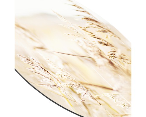 Dekoratives Gras auf einem runden Untergrund