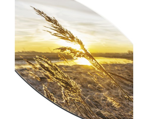 Rundes Wandbild mit Gräsern im Gegenlicht