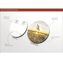 Glasbild Produktbeschreibung mit Aufhängevorrichtung, Rückseite, Abstandshalter, Vorderseite, glänzender Oberfläche und schwebender Optik.