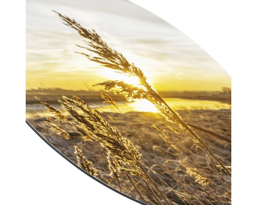 Dekoratives Bild mit Gräsern und Sonnenaufgang