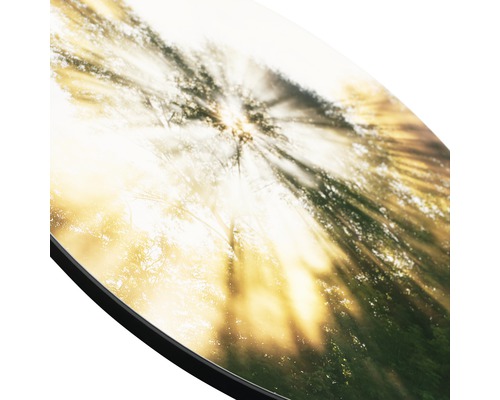 Detailansicht einer runden Küchenrückwand mit Waldmotiv