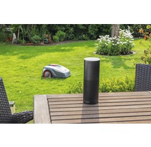 Ein Rasenmähroboter auf einem Rasen mit einem Amazon Echo auf einem Holztisch