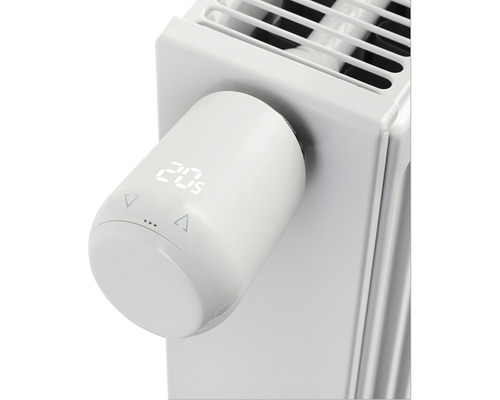 Heizkörperthermostat mit digitaler Anzeige am Heizkörper