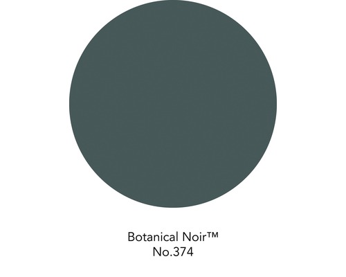 Botanical Noir Farbton Nummer 374