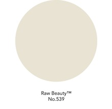 ELLE Decoration Wandfarbe Matt No. 539 Raw Beauty 125 ml