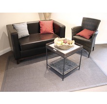 Wohnzimmerbereich mit Sofa, Sessel, Tisch und Teppich