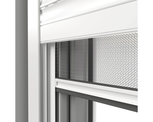 Detailansicht eines Fensters mit Rollladen und Insektenschutzgitter