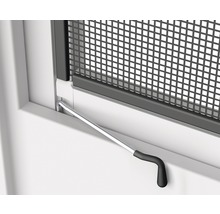 Detailaufnahme eines Insektenschutzgitters mit Bedienhebel am Fenster
