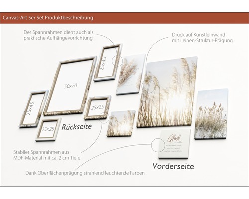 Canvasbild Set mit Rahmen aus MDF Material und Pflanzen Motiven