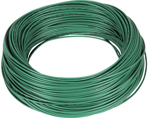 Ring aus grünem Elektrodraht