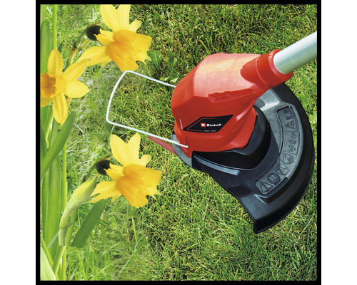 Einhell Logo. Rasentrimmer im Einsatz auf Rasen neben Narzissen.