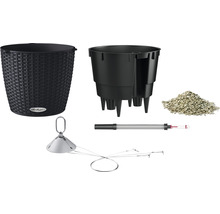 Lechuza Classico 43 Pflanzgefäß Set mit Zubehör