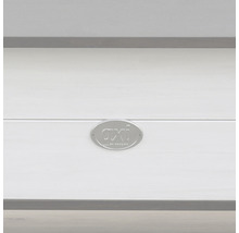 Axi Logo auf Holz