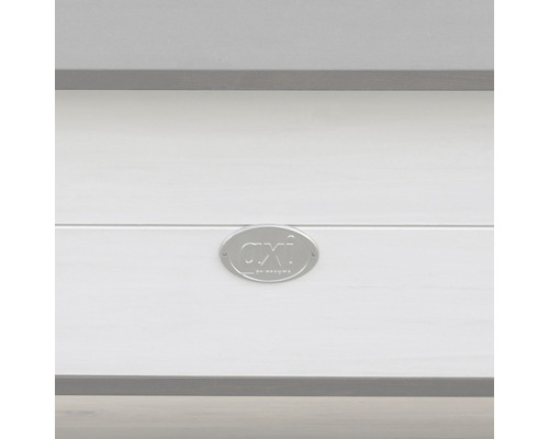 Axi Logo auf Holz