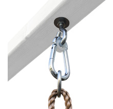 Schaukelhaken mit Karabiner und Seil an einem Holzbalken