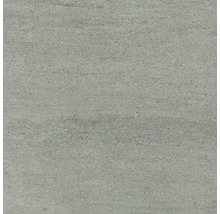 Kunststoffpaneel GX Wall+ Dune Mica Grey 5x300x600 mm