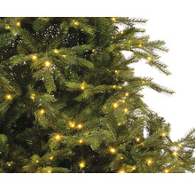 Nahaufnahme eines Weihnachtsbaums mit Beleuchtung.