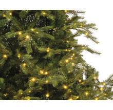 Nahaufnahme eines Weihnachtsbaums mit Lichtern