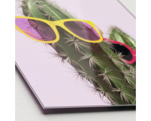 Dekobild mit Kaktus und Sonnenbrille