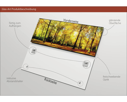 Glasbild mit Waldmotiv, inklusive Wandhalterung und Abstandshalter