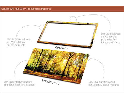 Leinwandbild mit Waldmotiv, MDF Rahmen und Leinenstruktur