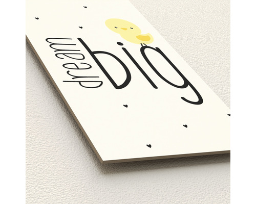 Dekoratives Bild mit der Aufschrift ''Dream Big'' und einer Kükenillustration