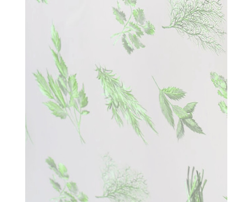 Illustration verschiedener Kräuter