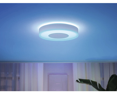 Runde Deckenleuchte im Wohnzimmer mit Pflanzen