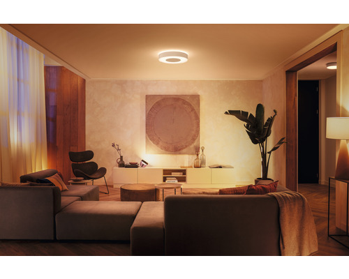 Wohnzimmer mit Couch, Sessel, Schrank, Zimmerpflanze und runder Deckenleuchte