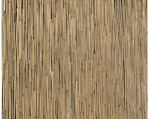 Bambusmatte als Sichtschutz