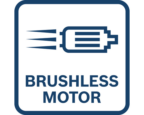 Bürstenloser Motor