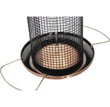 Detailansicht einer Vogelfutterstelle mit Metallgitter