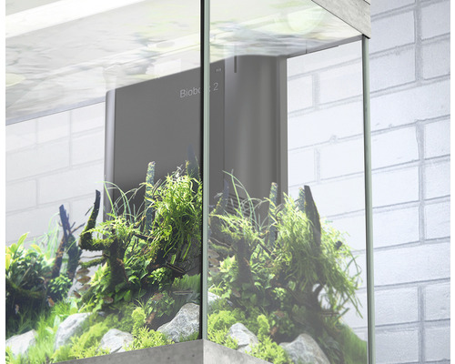 Aquarium mit Pflanzen und Filter