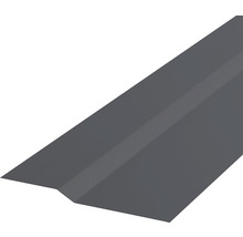 Ortgangblech aus Metall
