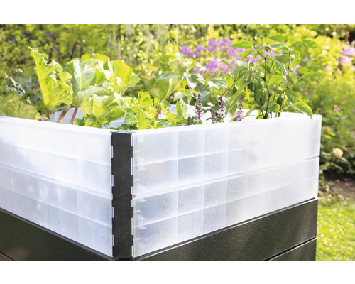 Hochbeet mit Salat, Kräutern und Gemüse bepflanzt