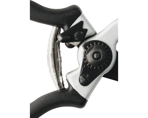 Detailaufnahme einer Astschere mit schwarzem Griff und silberfarbenen Metallelementen