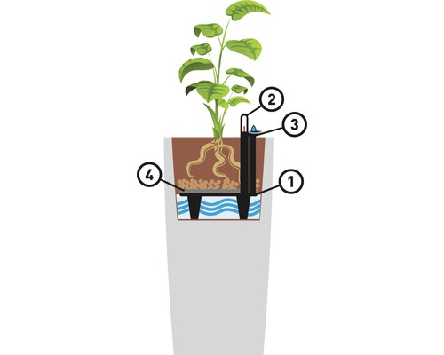 Illustration eines Blumentopfs mit Bewässerungssystem, bestehend aus Wasserreservoir, Füllstandsanzeige, Einfüllschacht und Blähton