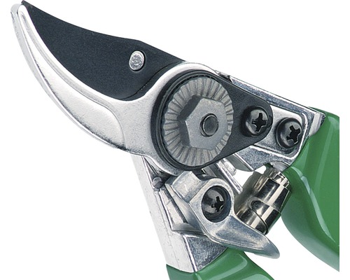 Detailaufnahme einer Gartenschere mit grünen Griffen und silberfarbenen Klingen