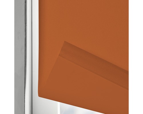 Rollosichtschutz am Fenster