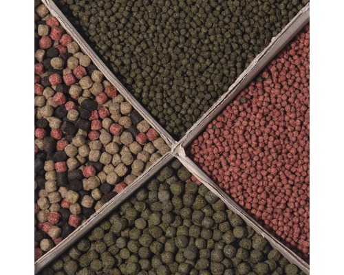 Verschiedene Sorten Fischfutter in einer Packung