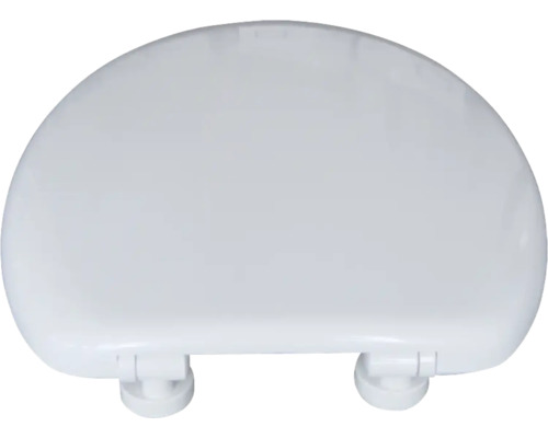 Toilettendeckel aus Kunststoff