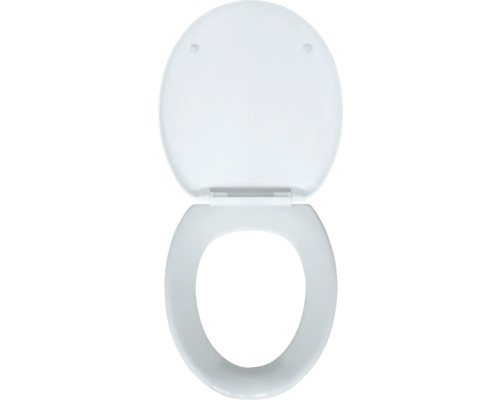 Toilettendeckel aus Kunststoff