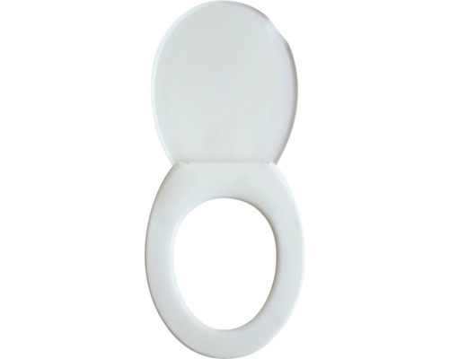 Toilettensitz mit geöffnetem Deckel