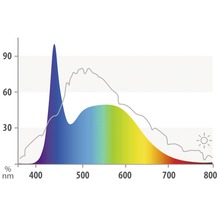Lichtspektrum Diagramm mit Wellenlängen in Nanometern