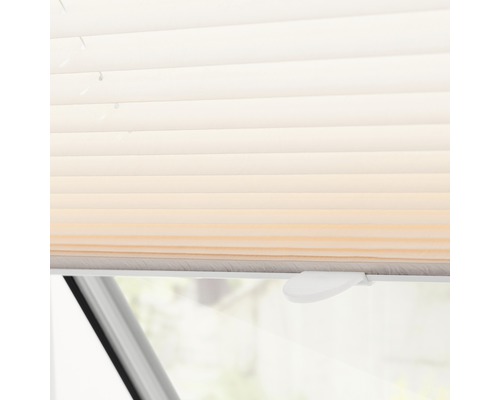 Nahaufnahme einer Fensterjalousie zur Lichtregulierung