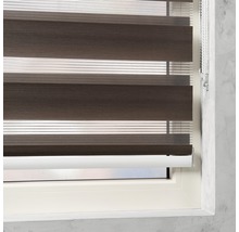 Fenster mit braun gestreiftem Doppelrollo